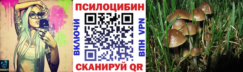 darknet телеграм  Прокопьевск  Галлюциногенные грибы мицелий 
