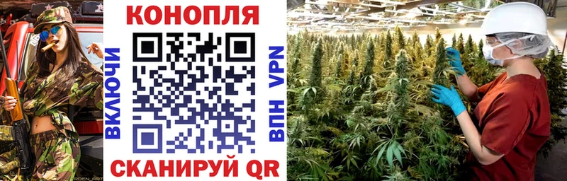Канабис план  что такое   KRAKEN ссылки  Прокопьевск 
